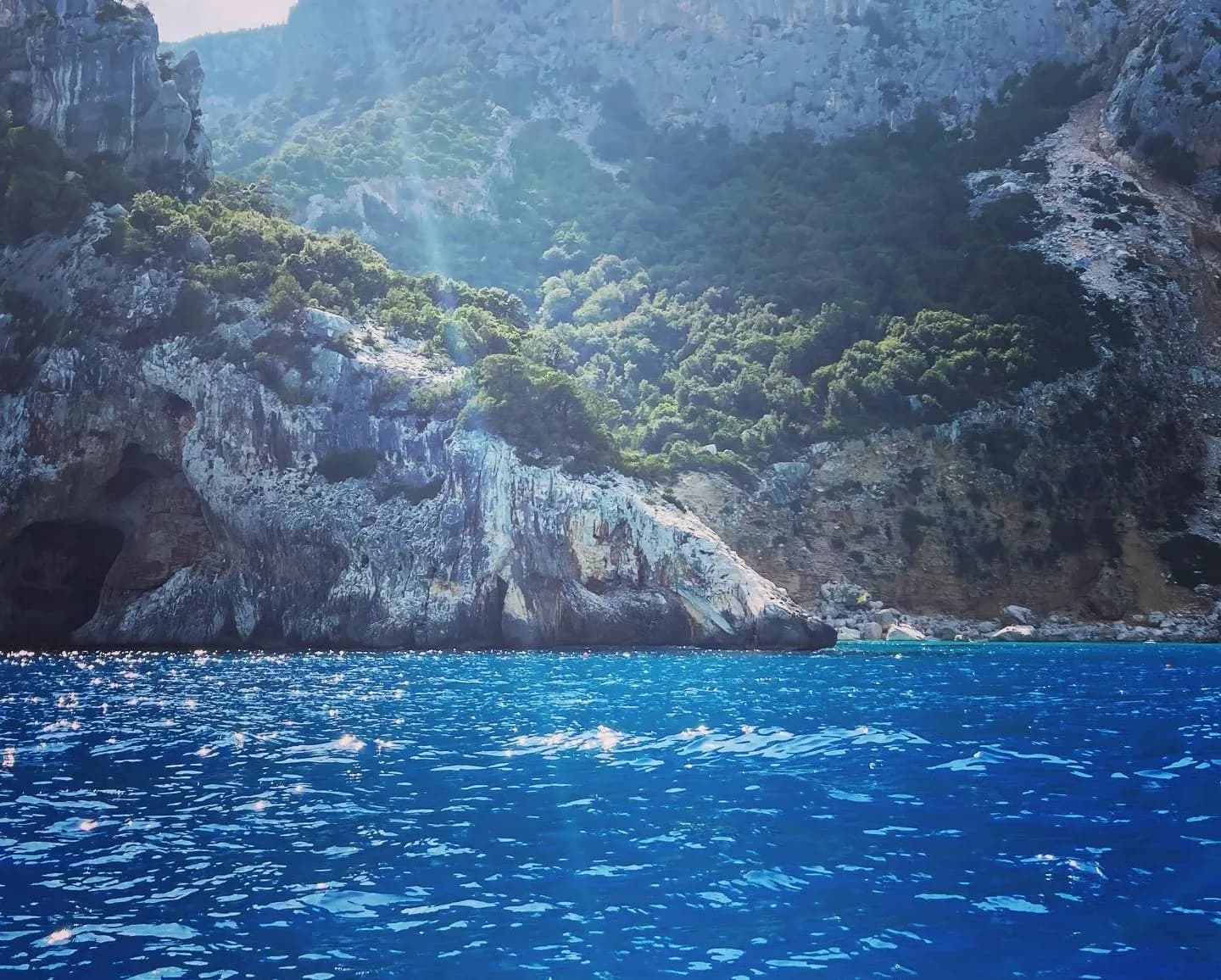Côte sarde : falaises, arbres et eau bleue scintillante.