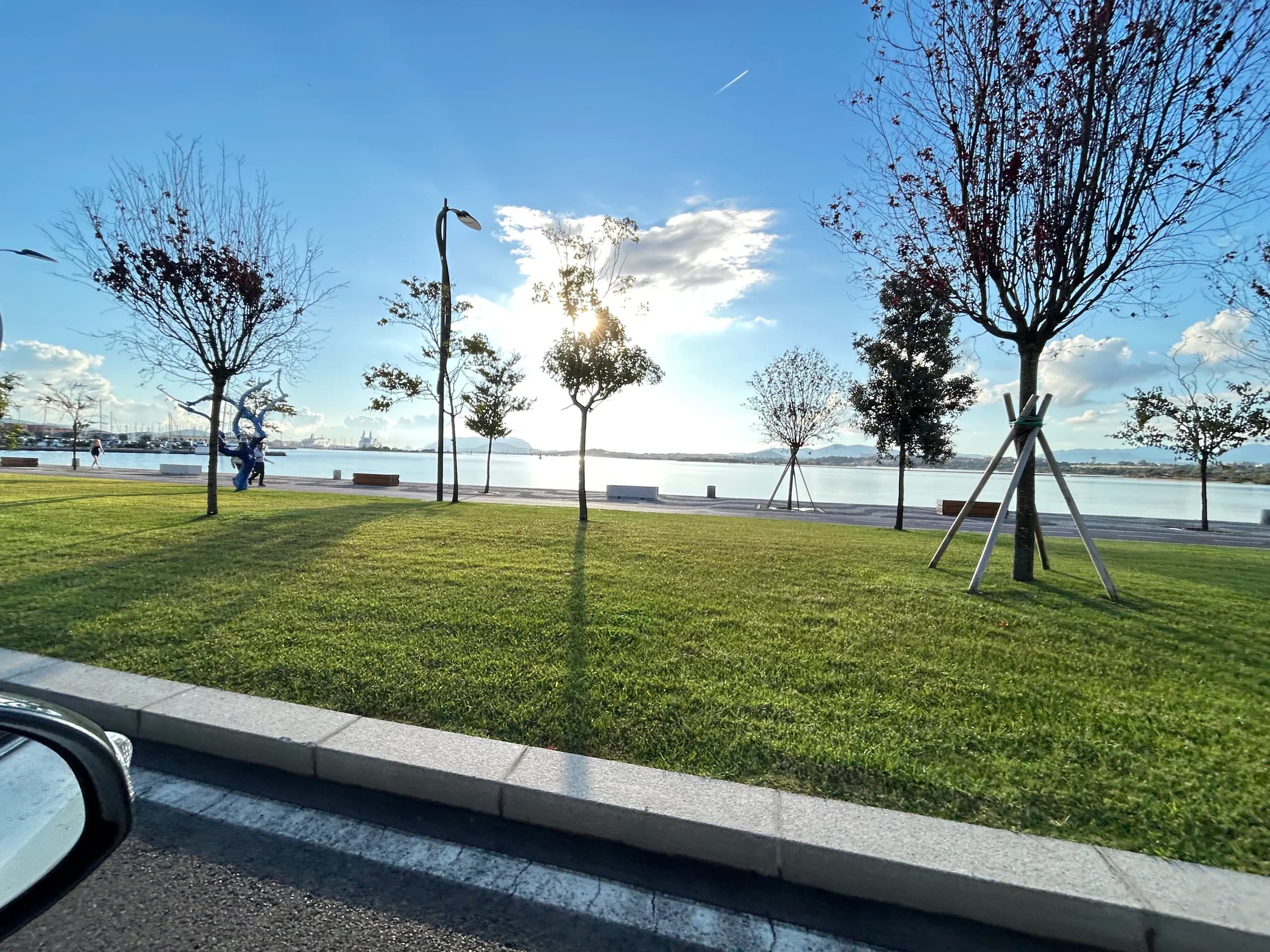 Zonnig park met bomen naast een rustige rivier