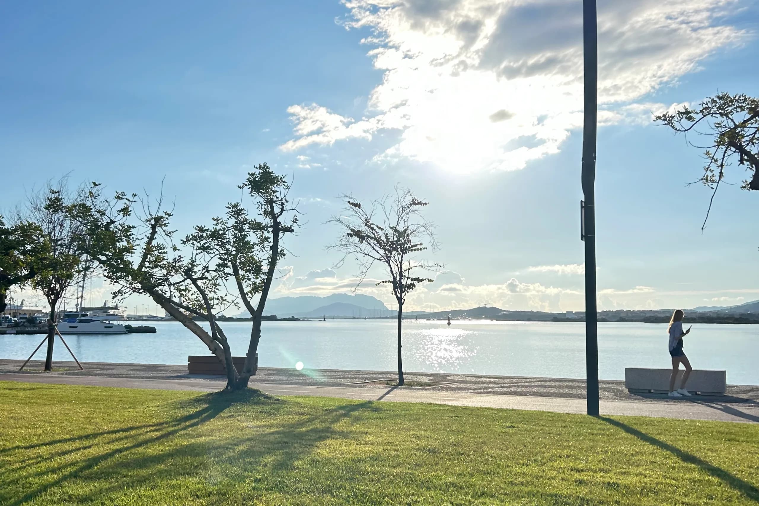 Zonnig park aan de waterkant met bomen en rustige zee