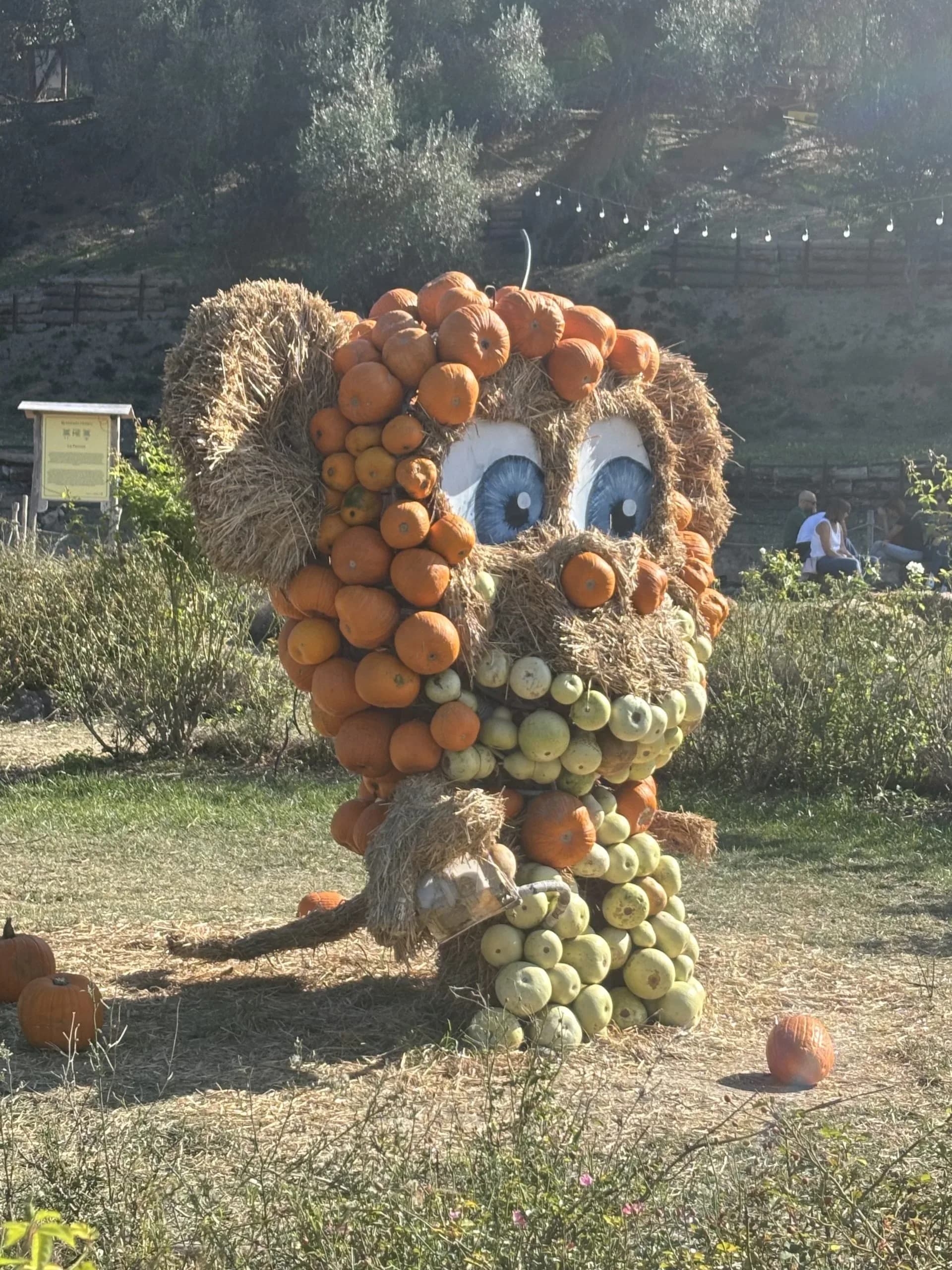Pumpkin-lined path at Parco Beranu Froriu during Halloween in Turri Sardinia