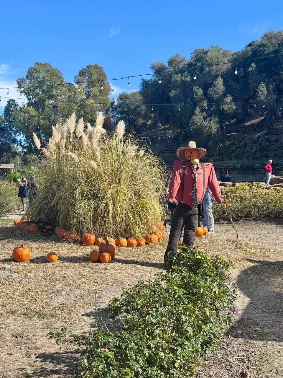 Decorazioni stagionali di Halloween in un parco della campagna sarda