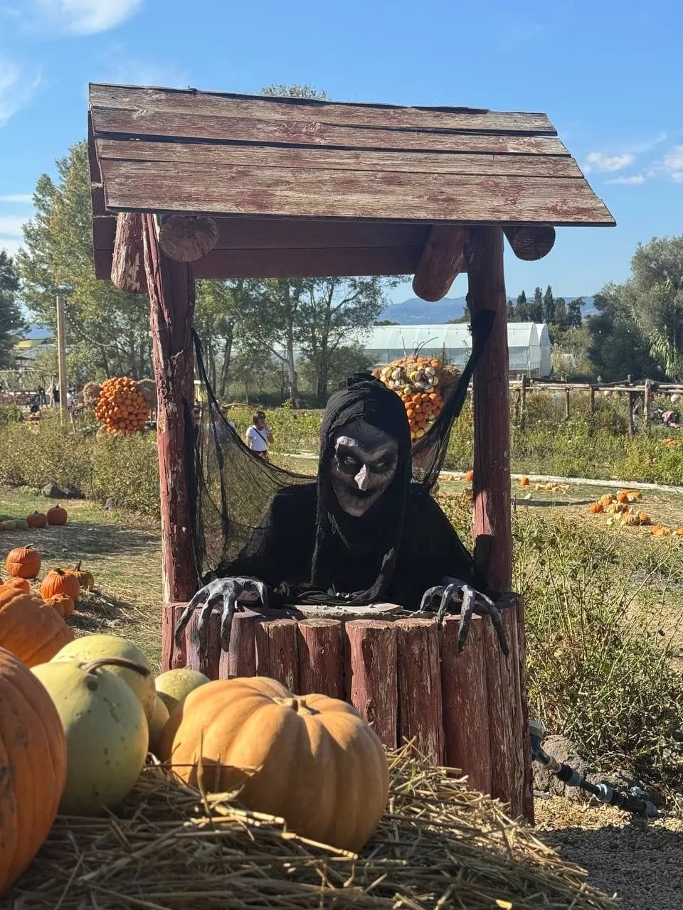 Ambientazione tranquilla all'aperto per Halloween in Sardegna, fotografata per sardinia.blog