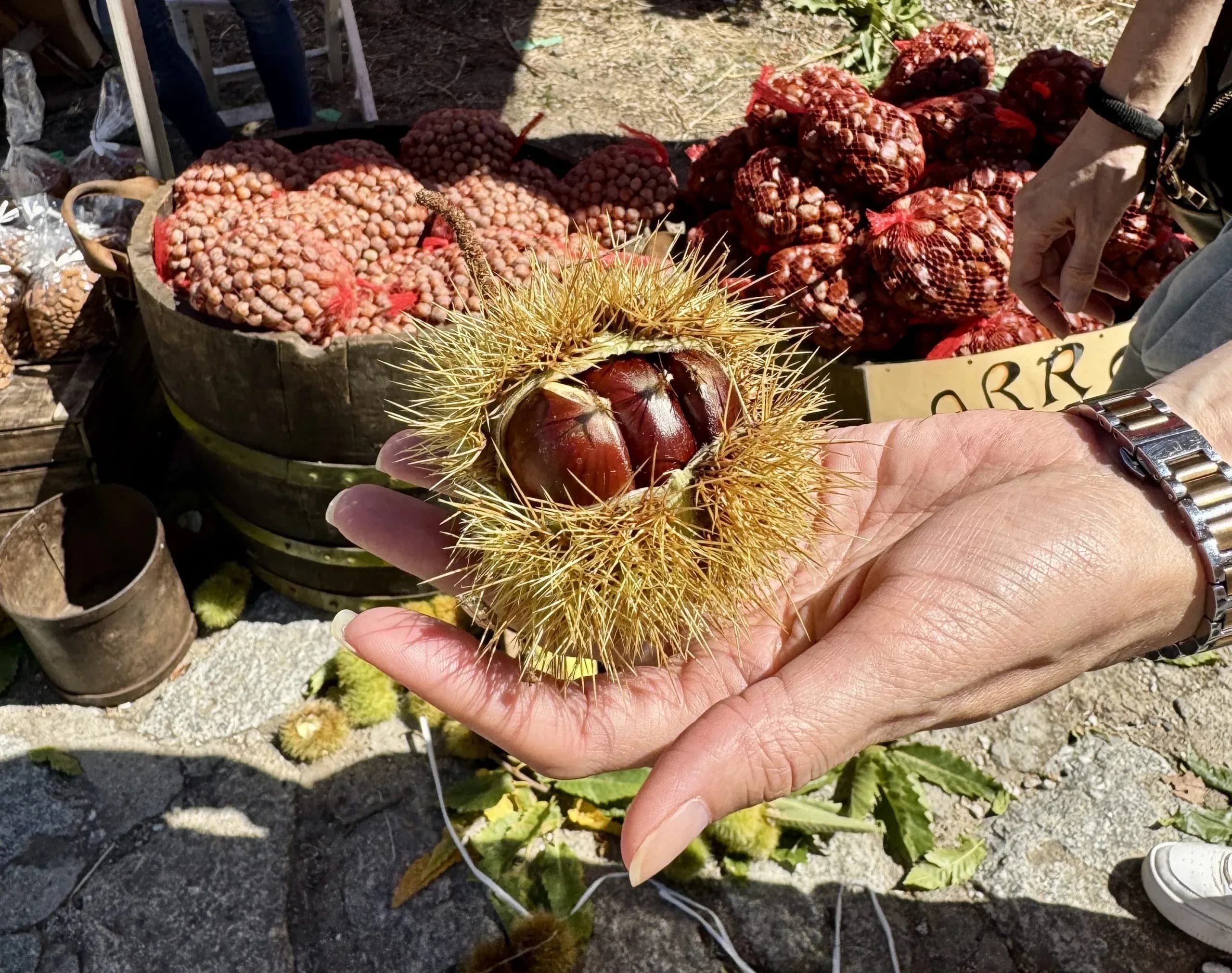 Verkostung traditioneller Speisen im Dorf Barbagia
