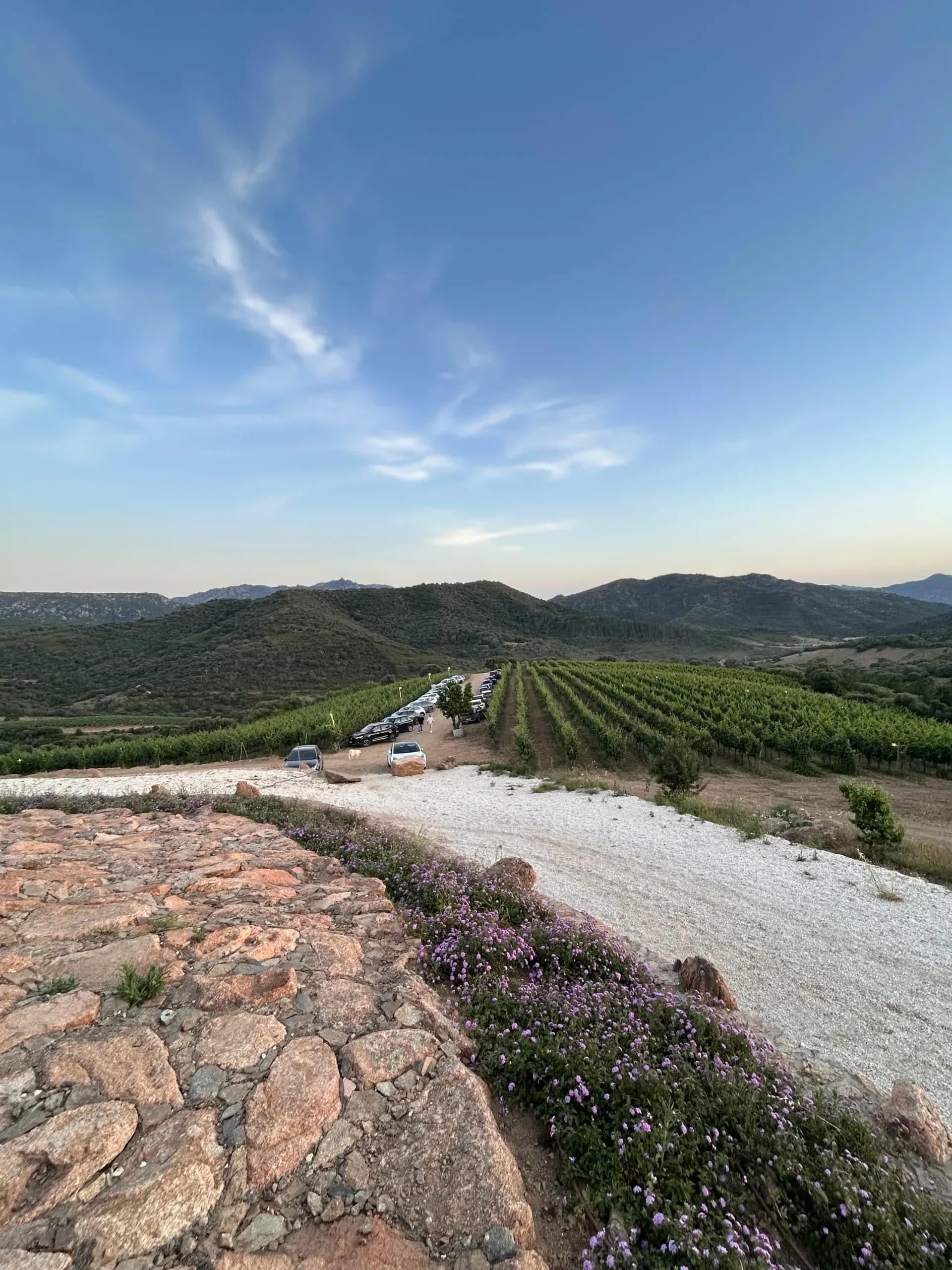 Ristorante di campagna in Gallura circondato da vigneti e colline ondulate