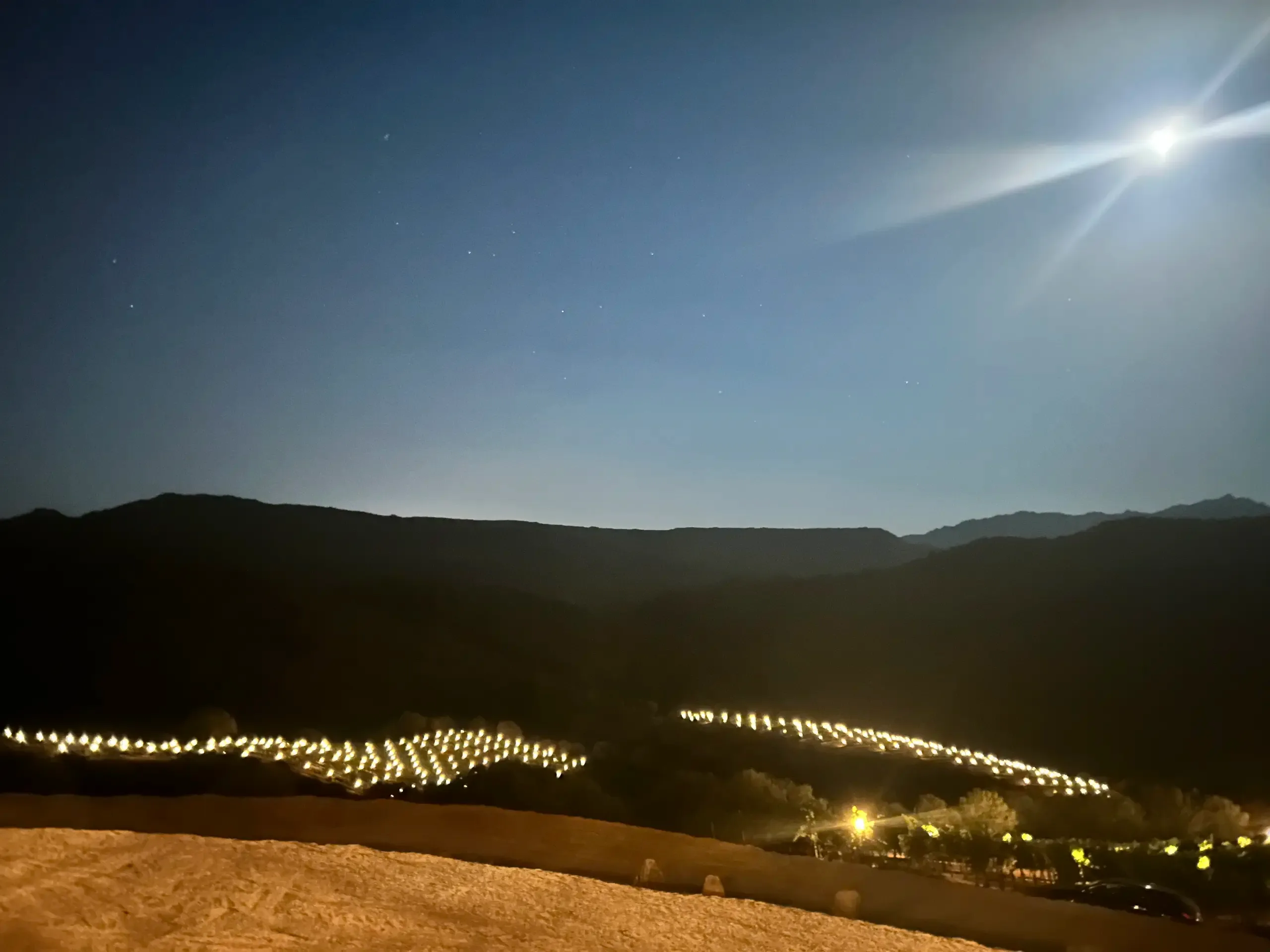 Sala da pranzo soleggiata con grandi finestre che si affacciano sui vigneti sardi