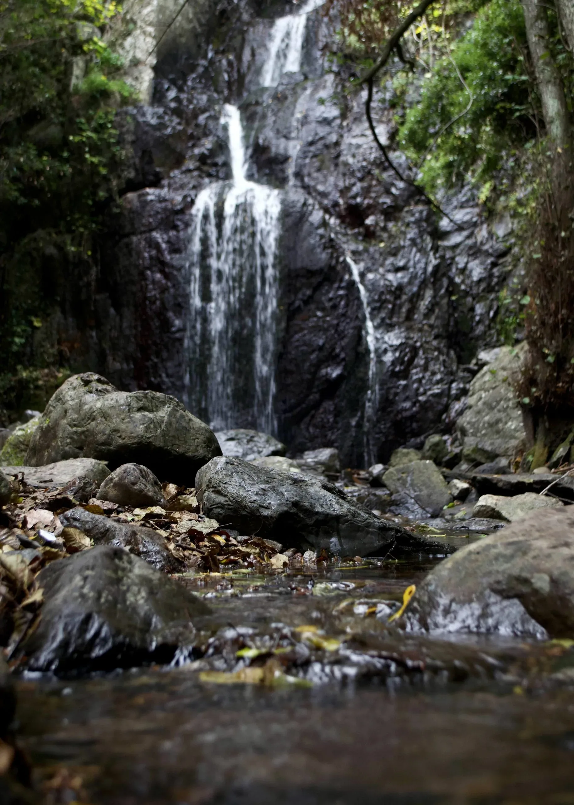 Petite cascade se déversant sur des rochers en forêt.