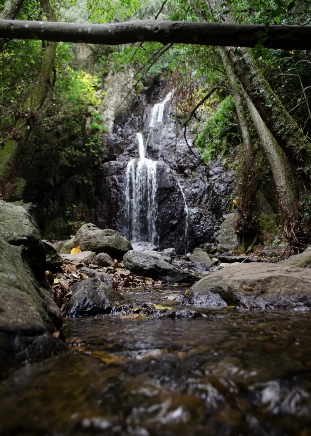 Bassin de la cascade de Sos Molinos, entouré d'une forêt de chênes