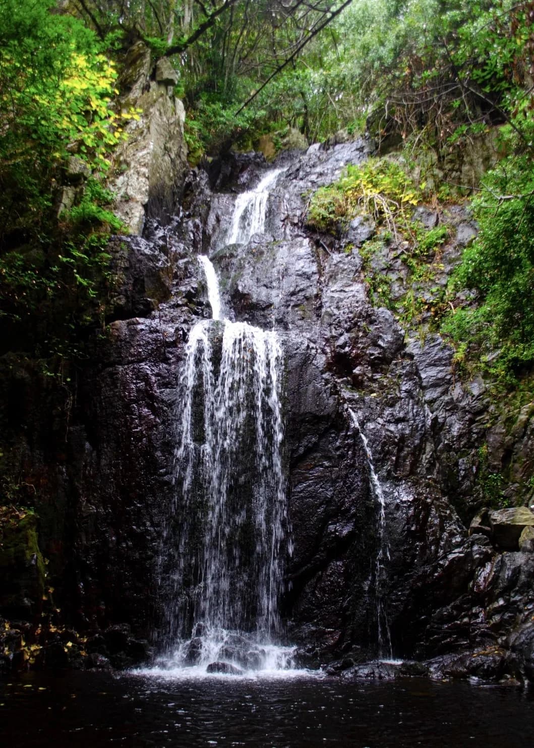 Cascade se déversant sur des rochers sombres et moussus en forêt.