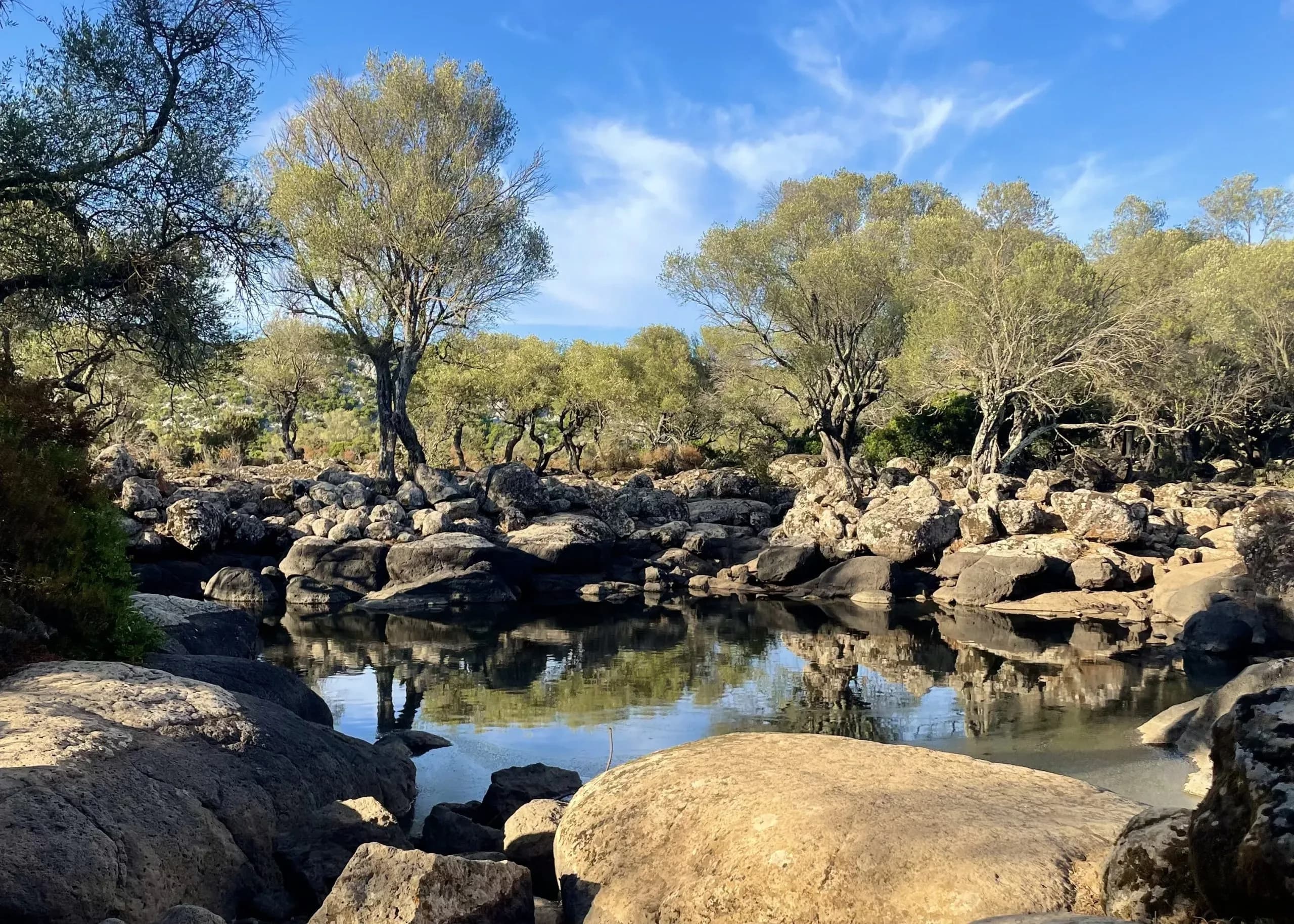 Scenic river reflecting trees under a blue sky.