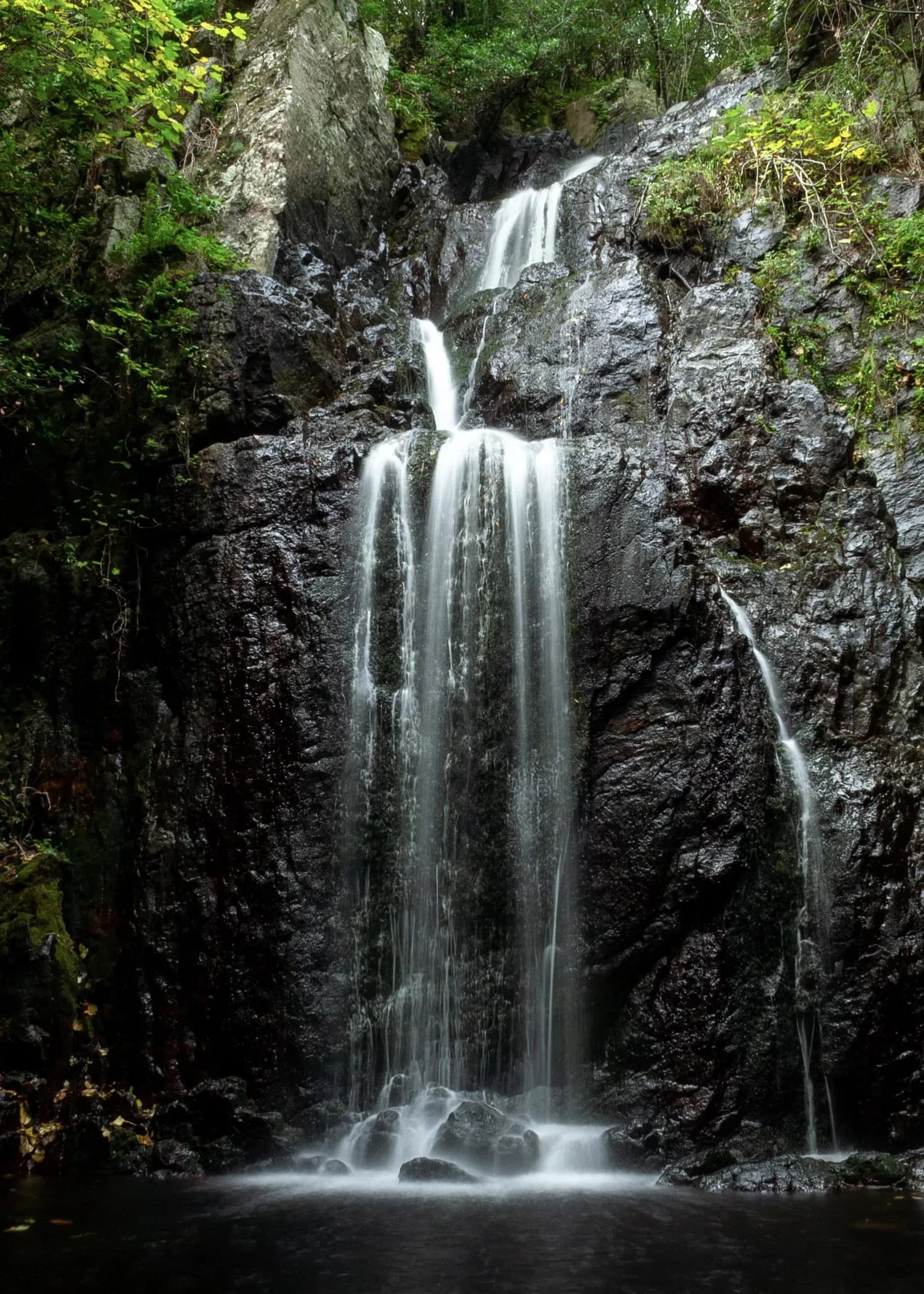 Waterfall cascading down mossy rocks in a forest.