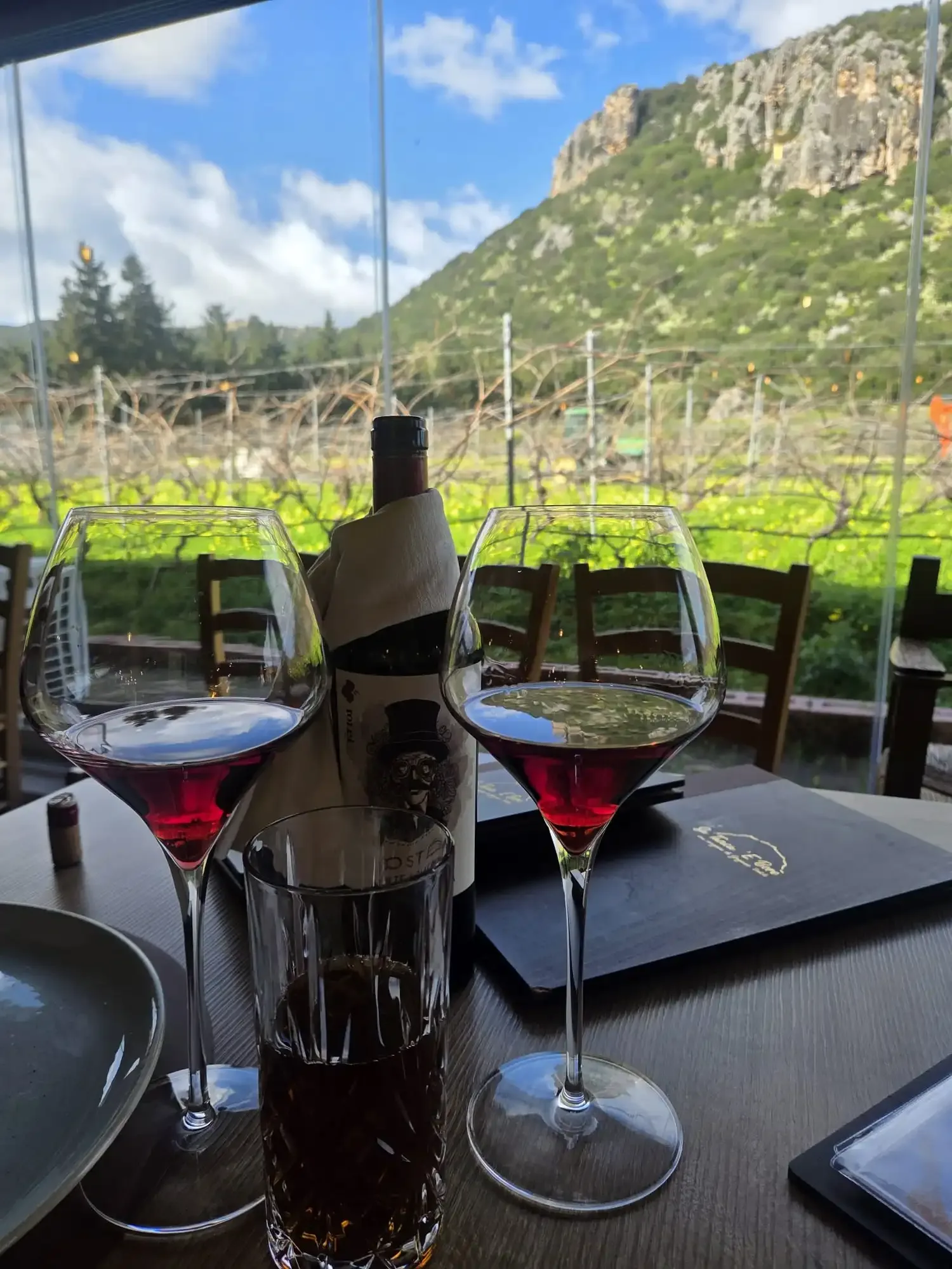 Wine tasting with vineyard view.