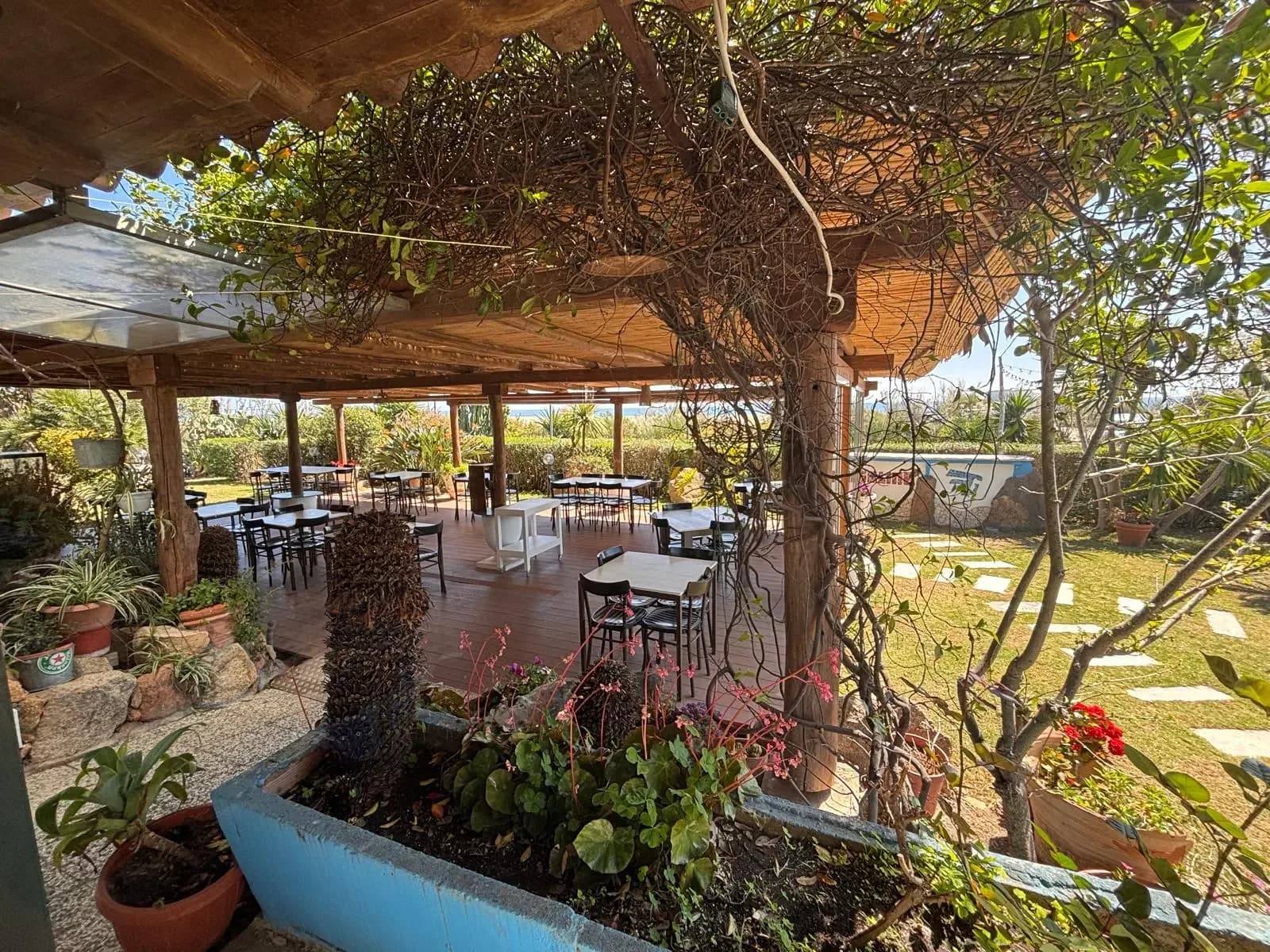 Espace de restauration extérieur avec plantes et vue sur la plage.