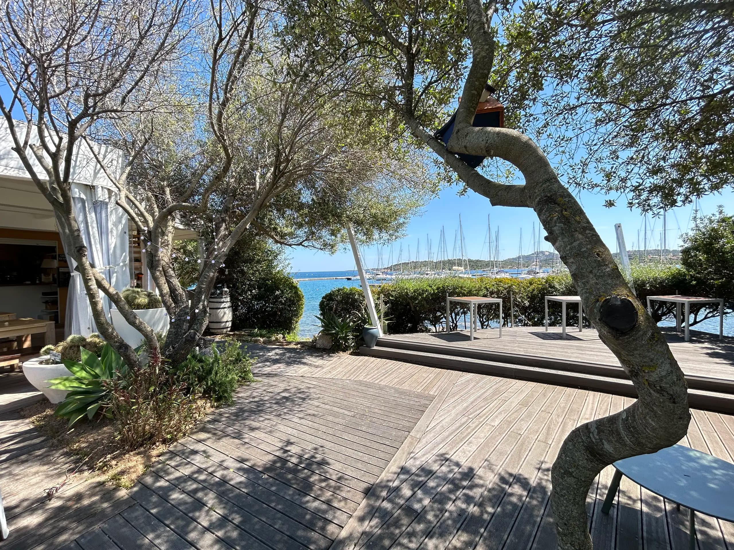 Houten terras met uitzicht op jachthaven met zeilboten en bomen