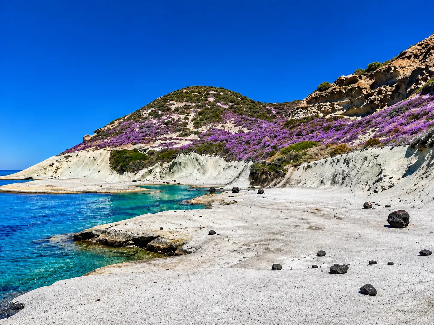 Littoral rocheux blanc avec des fleurs violettes et une eau turquoise