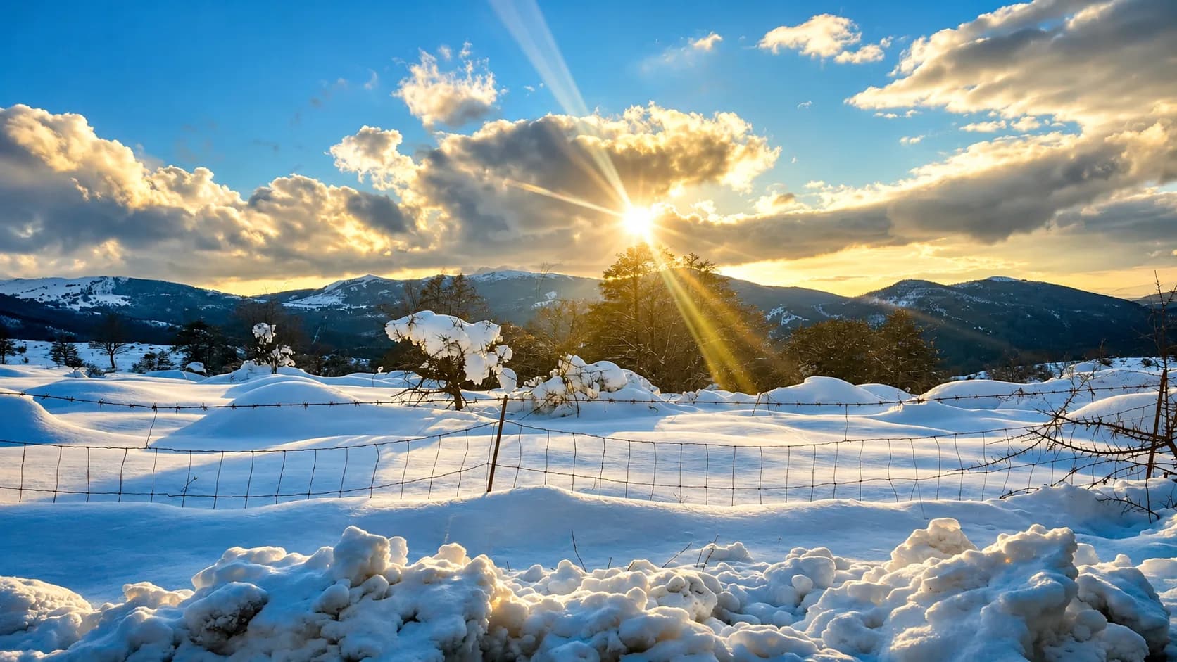 sunny snow