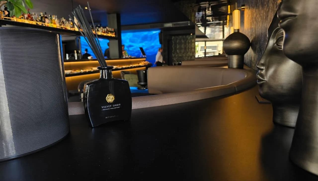 Stylish dark interior of Nord Est Olbia, with a reed diffuser and metallic head sculptures on the bar counter, curved leather seating and illuminated bar shelves in the background.