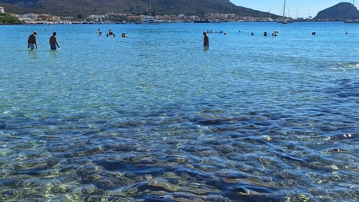 Swimmers wading in the clear shallow waters of Terza Spiaggia, with Golfo Aranci's harbour, moored yachts and hills visible across the bay.