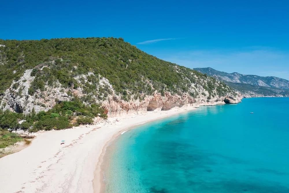 Aerial view of Cala Luna's white sandy beach and turquoise sea, framed by pine-covered limestone cliffs along Sardinia's Gulf of Orosei coastline