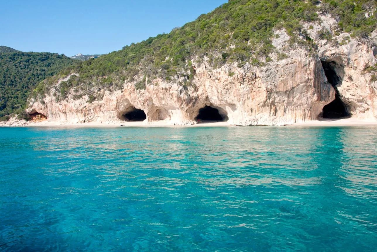 Turquoise sea leading to Cala Luna beach, with limestone cliffs riddled with dark cave openings and a forested hillside behind, Gulf of Orosei, Sardinia.