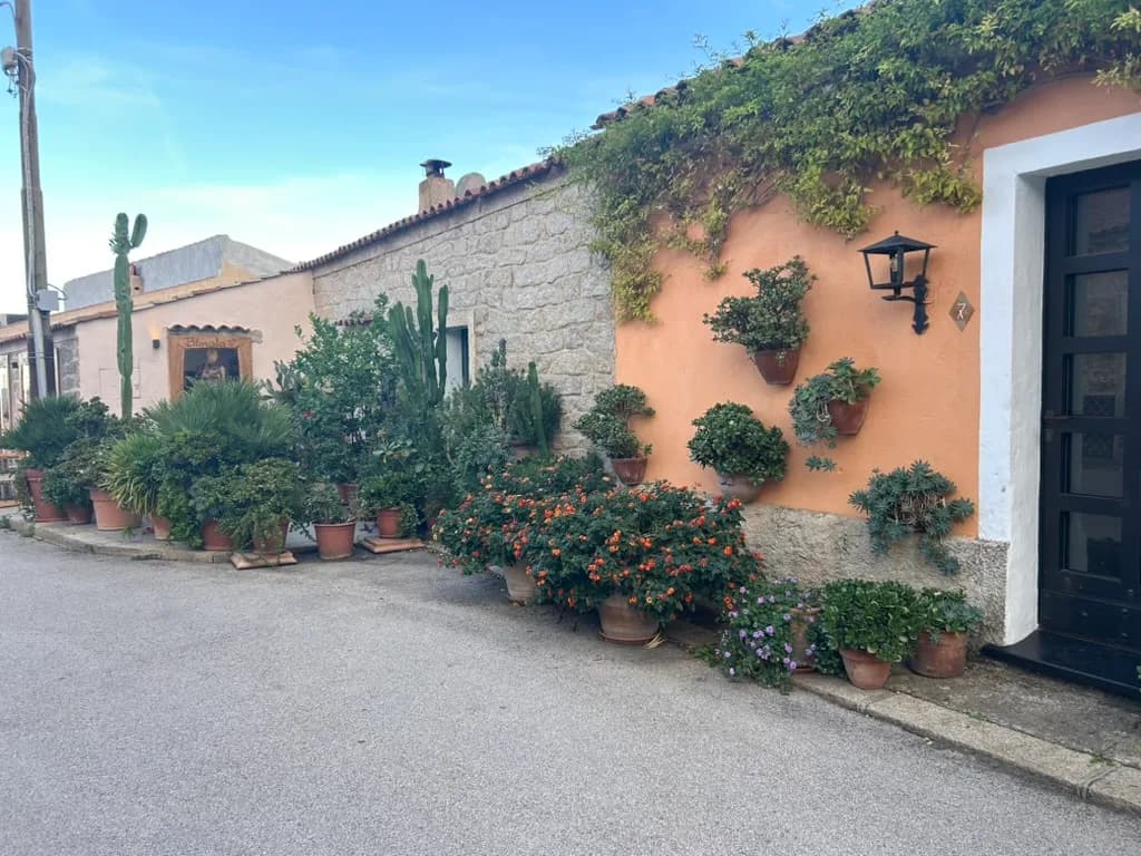 Terracotta and stone houses in San Pantaleo lined with potted plants, cacti and flowering shrubs along a quiet village street.