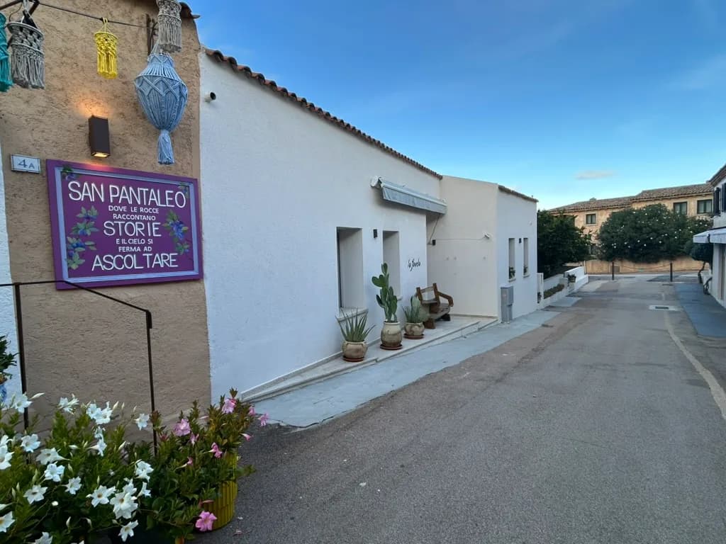 Quiet lane in San Pantaleo with a painted shop sign, hanging woven lanterns, potted cacti and flowering plants outside whitewashed stone houses.