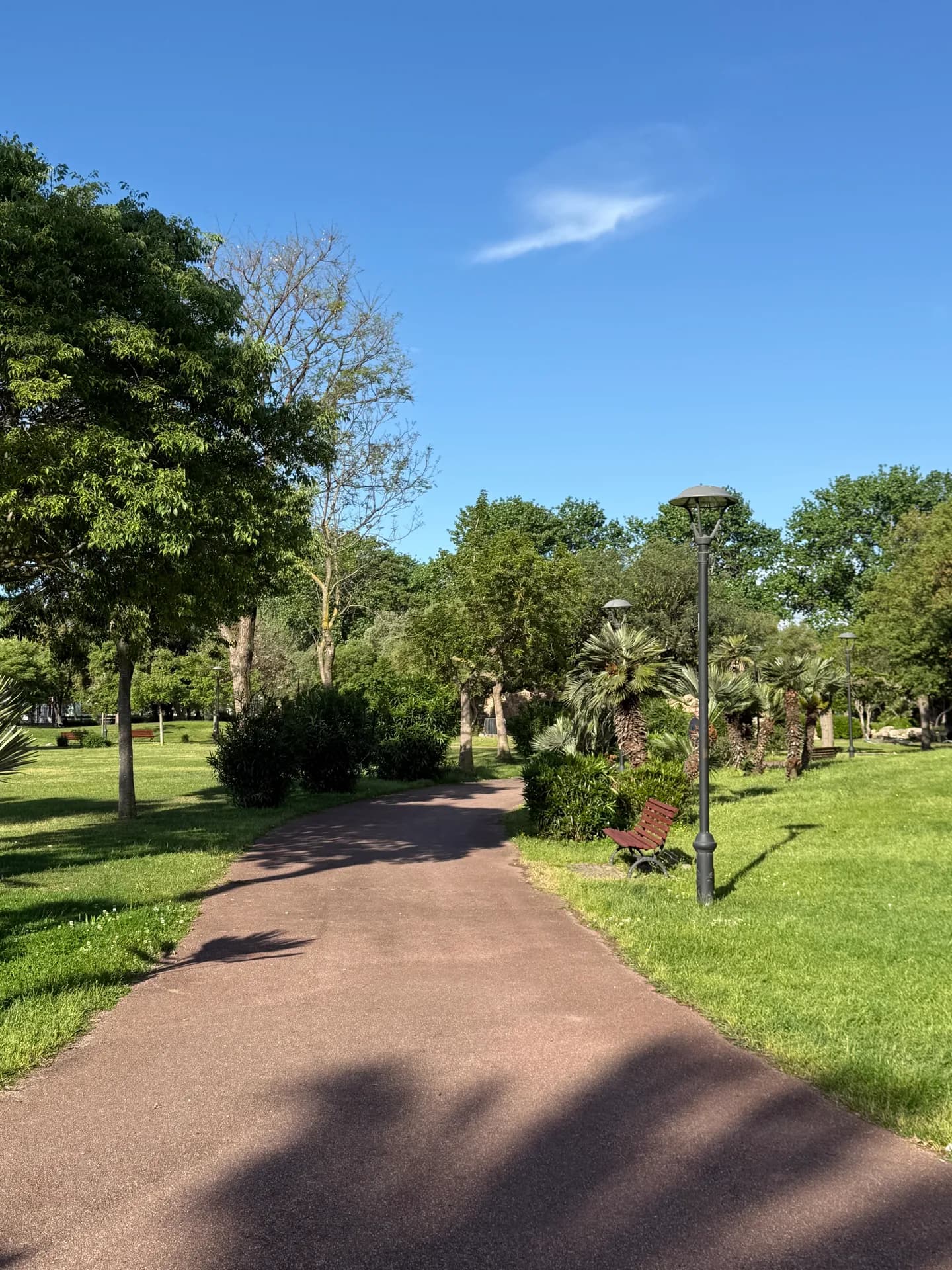 Quiet, empty tarmac path through a green Sardinian park, lined with trees, palms, a bench and lamp post under a clear blue sky.