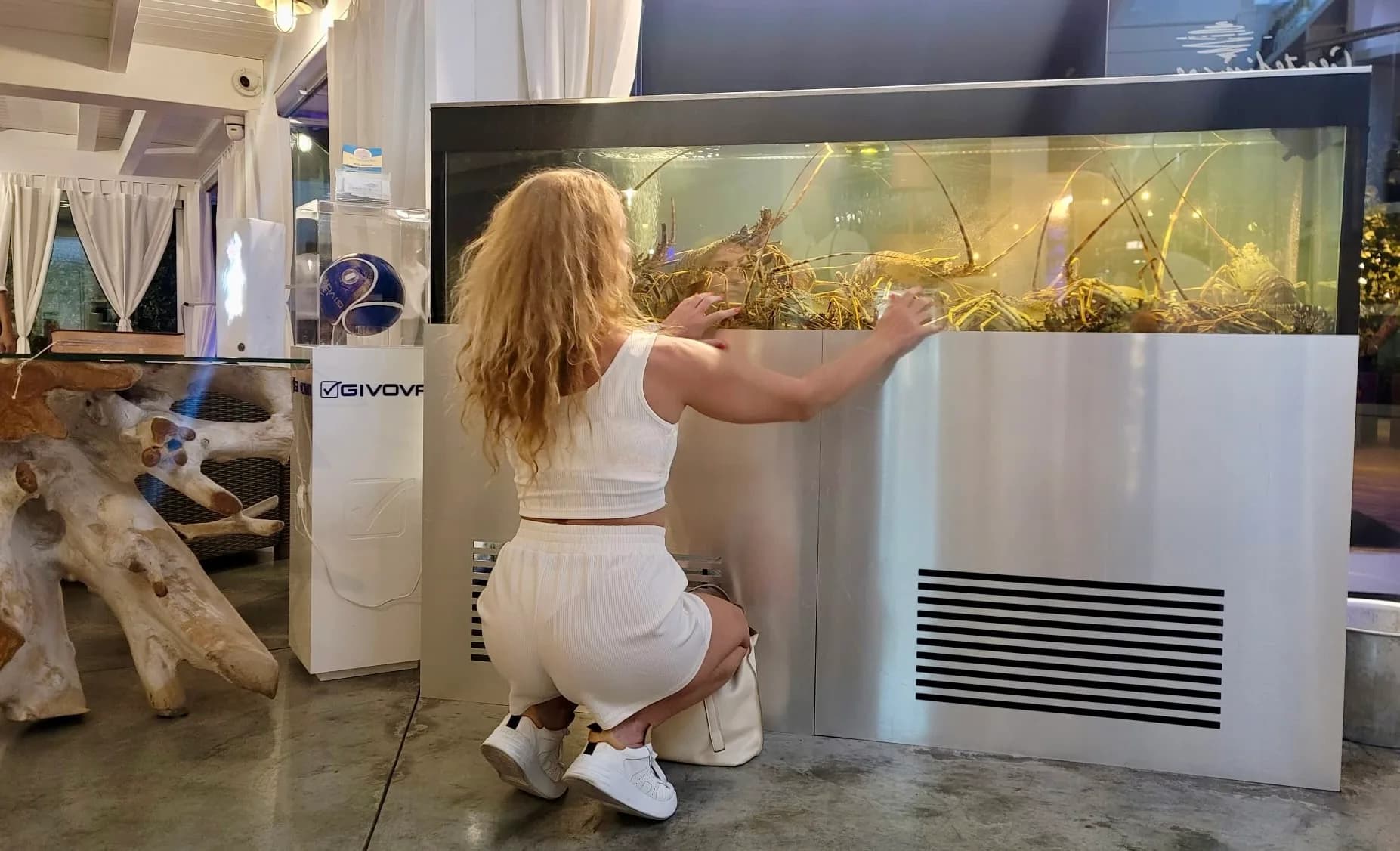 Woman in white top and shorts crouching beside a large steel-fronted tank of live spiny lobsters in a restaurant, with a driftwood table and white curtains nearby