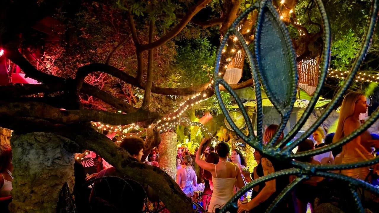 Partygoers among trees strung with fairy lights, seen through an ornate metal sculpture at Ritual Club