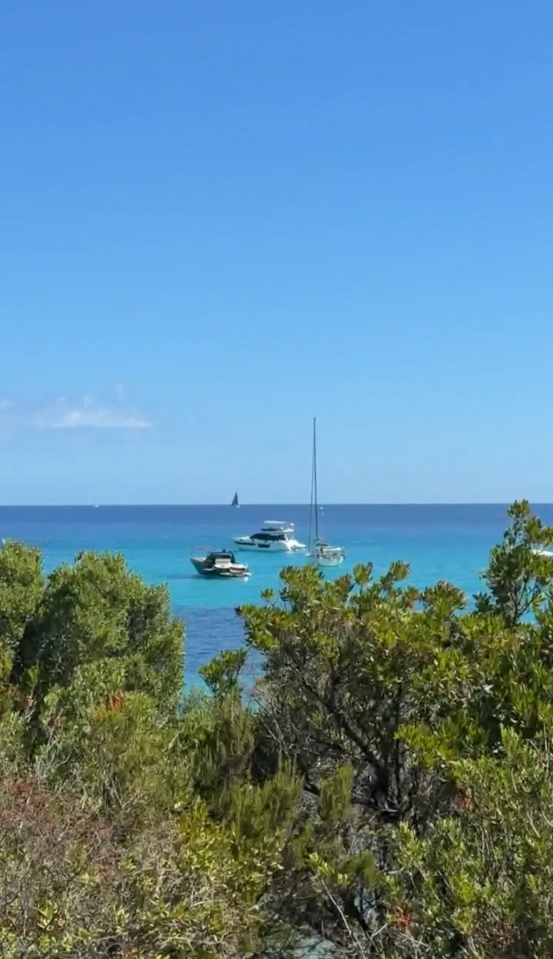 Boats anchored in turquoise sea, viewed through coastal Mediterranean scrub along the Pevero Health Trail, Sardinia.