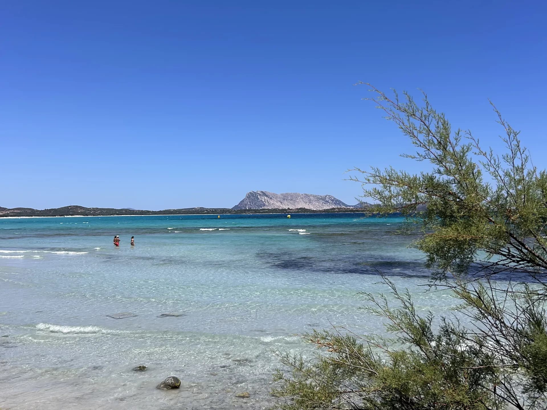 Eaux turquoise limpides au large d'une plage sarde, avec deux personnes pataugeant et la silhouette rocheuse de l'île de Tavolara se dessinant à l'horizon.