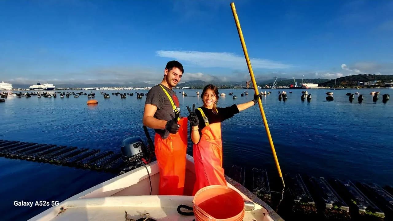 Deux ostréiculteurs en salopettes orange sur un bateau parmi les bouées flottantes de l'élevage dans le Golfo di Olbia